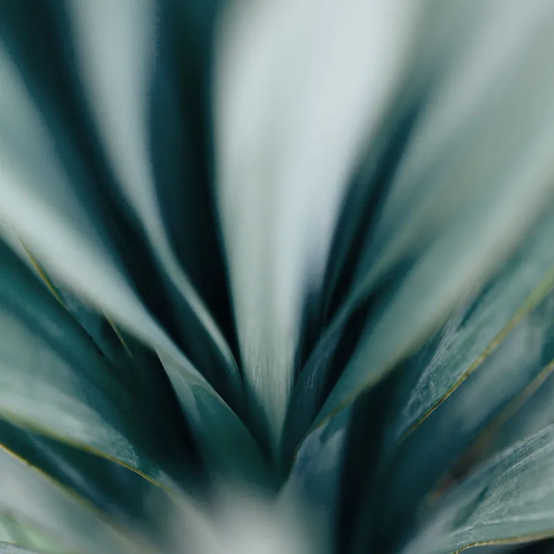 balanceing-rythum-with-craniosacral-therapy